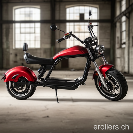 E-Roller MK Premium 6.0 25/110km/h