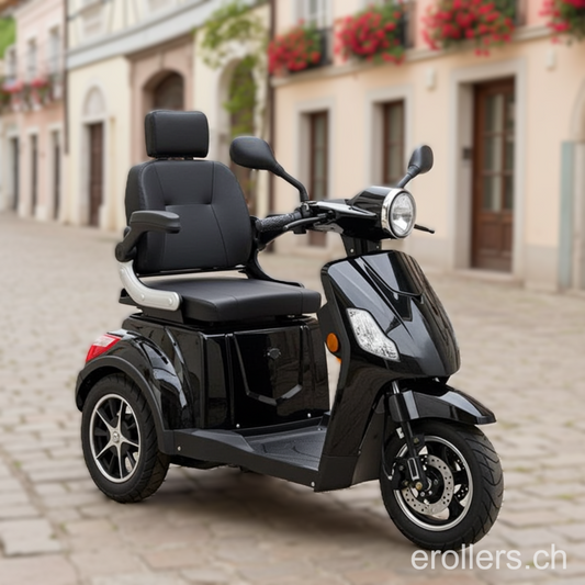 Seniorenmobil SV3 20km/h